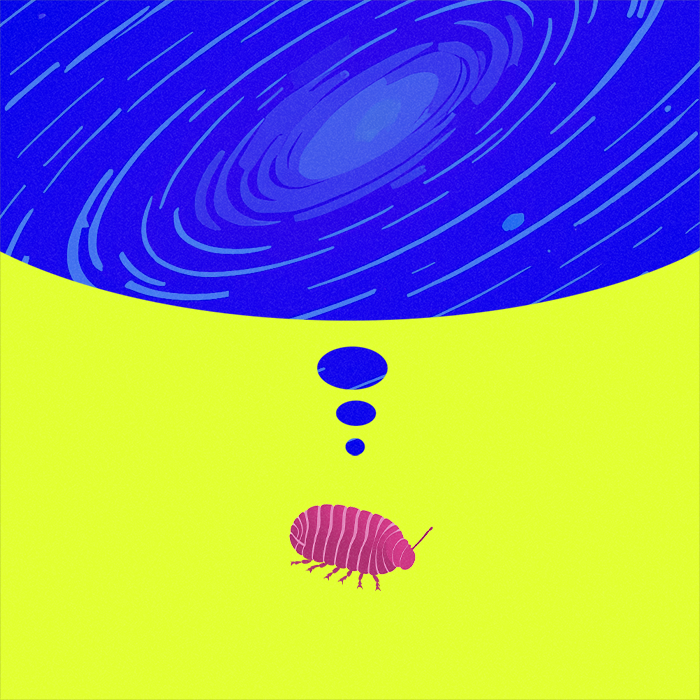 Why can’t I understand quantum physics even after hearing it?